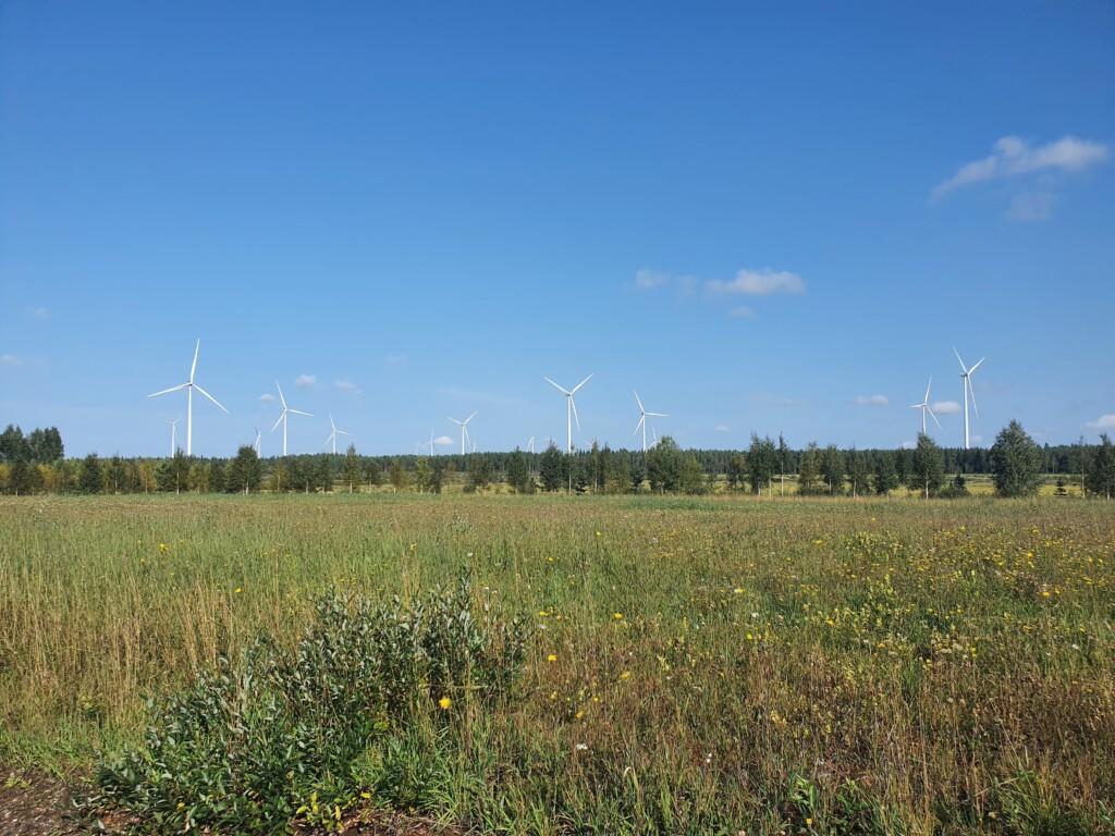 ABO Energyn brändikuva, jossa vihreän niityn takana sinistä taivasta vasten näkyy tuulivoimaloita.